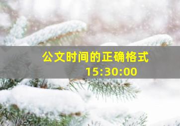 公文时间的正确格式 15:30:00